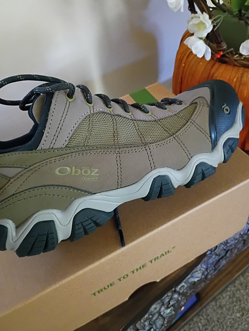 Oboz Firebrand II Low BDry Men's Low Hiking Shoes Brown US 11.5 125 New